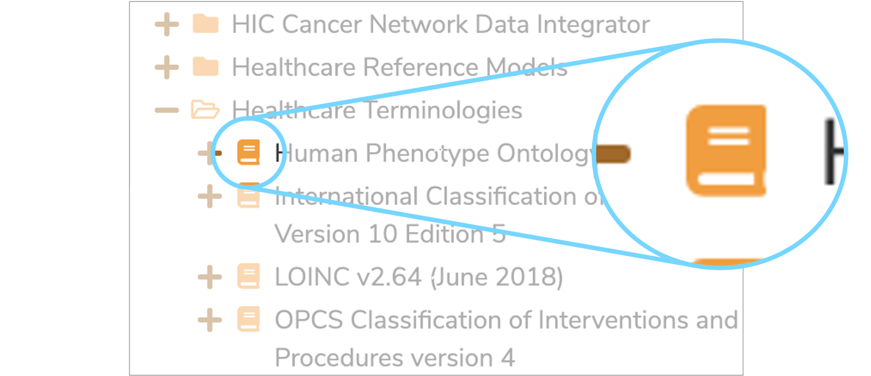 Terminology icon