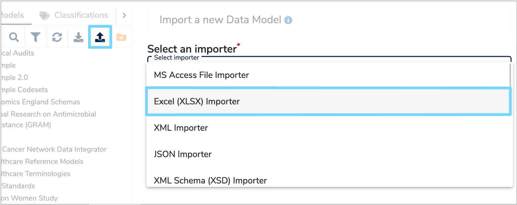 Section 1 of the Data Model import form